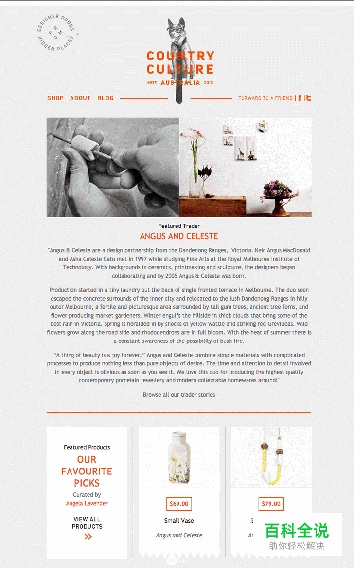 50个优秀的电子邮件宣传营销设计案例（上）