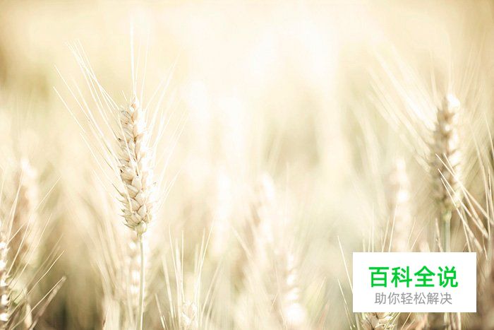 5分钟让你学懂景深的应用技巧