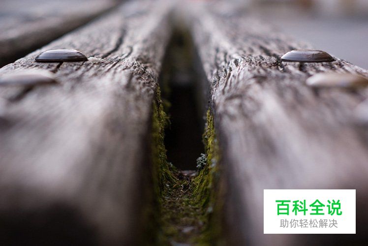 5分钟让你学懂景深的应用技巧