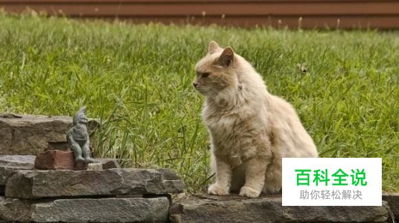 5个简单技巧加强照片冲击力