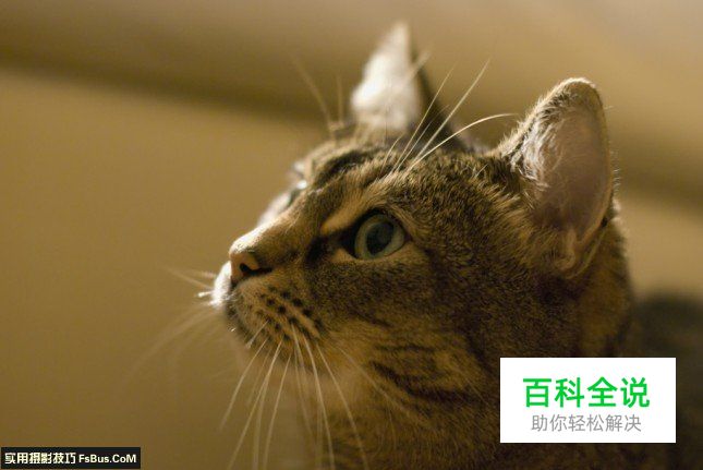 5个摄影新手常犯的错误