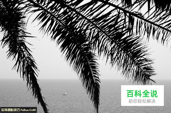 5种新手摄影爱好者常犯的错误