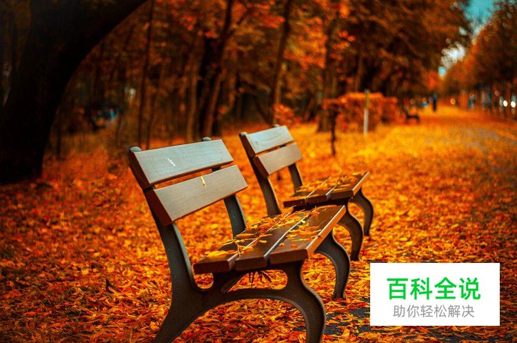 6招拍出具感觉的小品摄影