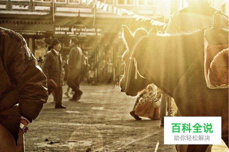 6招拍出具感觉的小品摄影