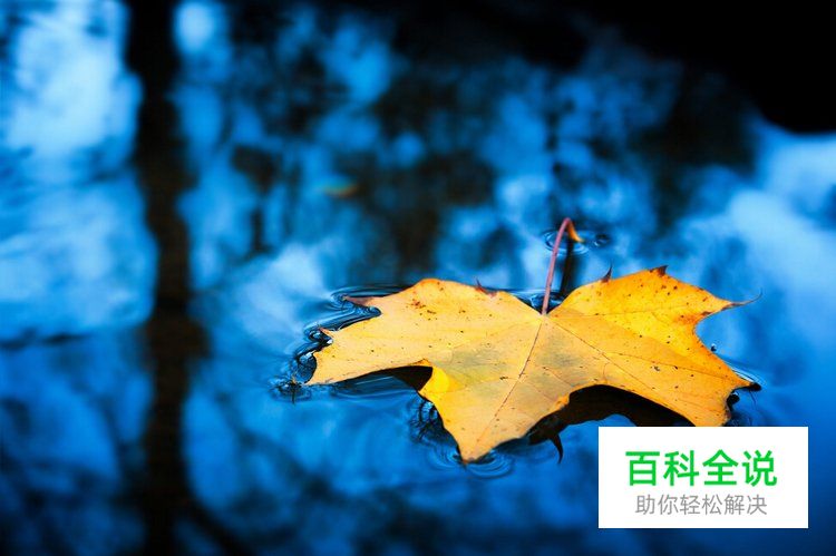 6招拍出具感觉的小品摄影