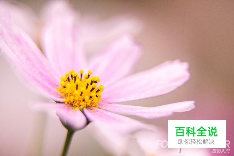 7个有关光圈使用的常见问题