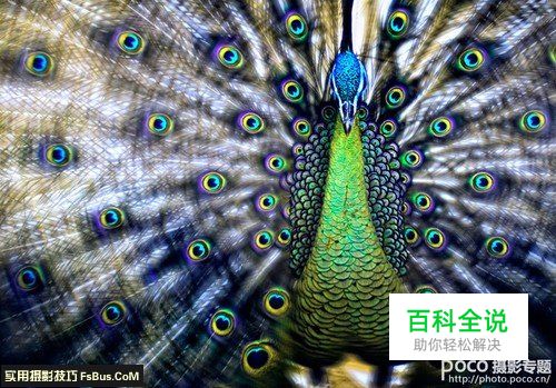 8招适合摄影新手的晋级宝典