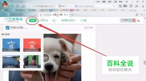 91视频怎么才能看