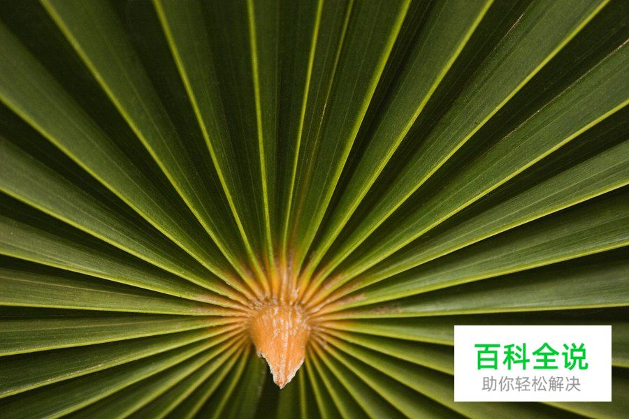 9个提升风景摄影的技巧