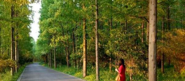 access更新查询怎么做