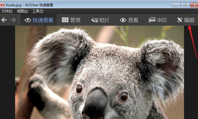 acdsee怎么调整图片的分辨率?