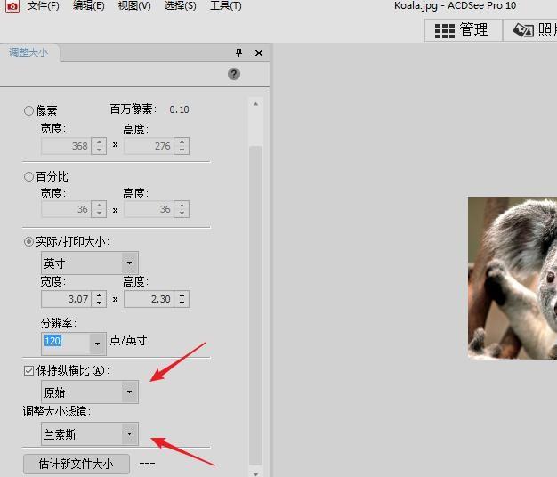 acdsee怎么调整图片的分辨率?