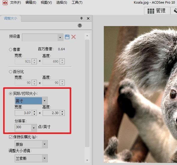 acdsee怎么调整图片的分辨率?