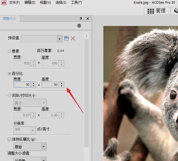 acdsee怎么调整图片的分辨率?