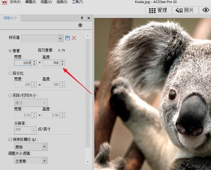 acdsee怎么调整图片的分辨率?