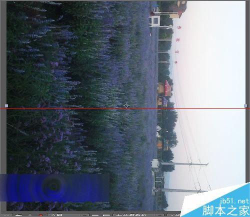 ae导入的图片或视频都倒过来了该怎么办?