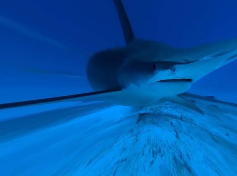 ae怎么使用光学补偿制作转场特效?