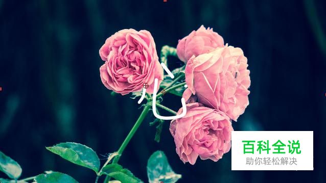 AE怎么制作书写文字效果