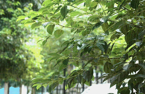 AE怎么给视频添加下雨的特效?