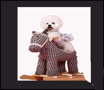 AE怎么使用笔刷工具抠图?