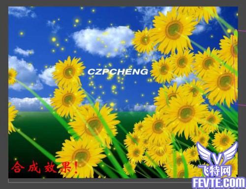 After Effects 打造金色向日葵花田