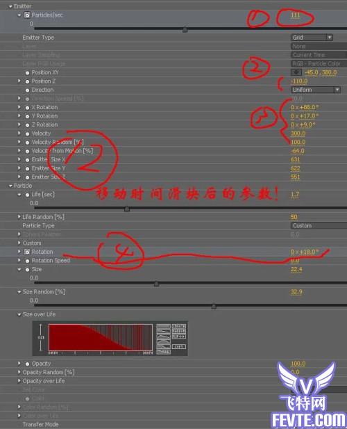 After Effects 打造金色向日葵花田