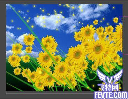 After Effects 打造金色向日葵花田