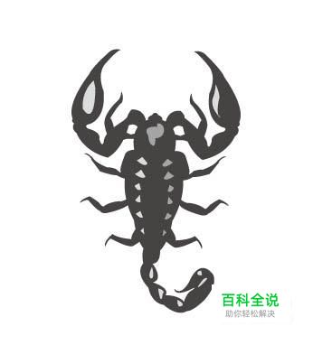 ai素材制作之蝎子篇