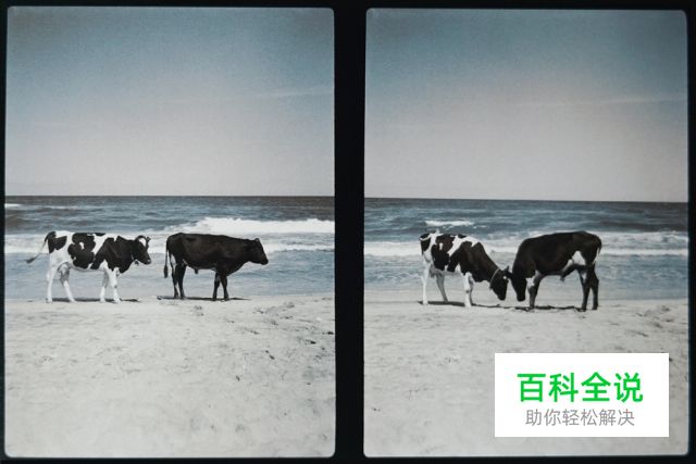 奥林巴斯 PEN F——单反中的异形,便携机里的精英