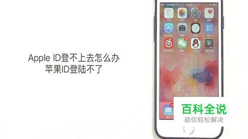 Apple ID登不上去怎么办