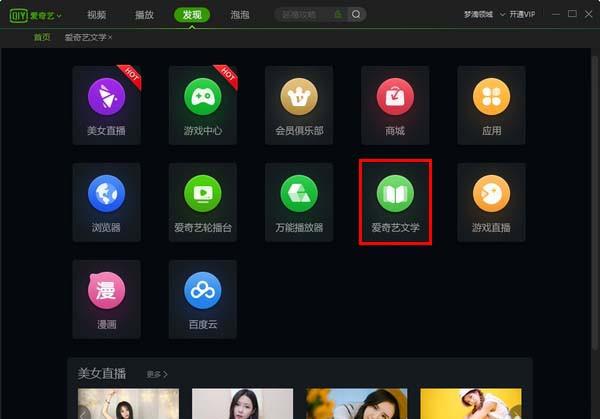 爱奇艺怎么查找小说并阅读?