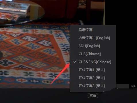 爱奇艺播放器怎么切换视频字幕?