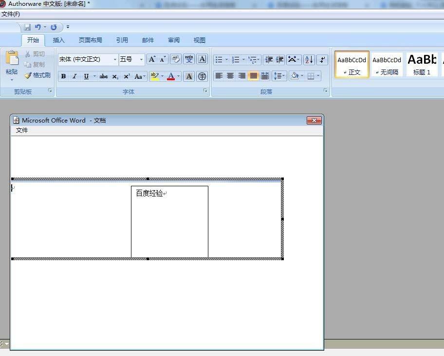 Authorware怎么插入文本框?