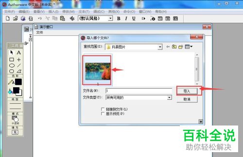 Authorware如何给图片设置玻璃状展示特效