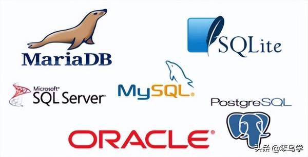 安装MySQL数据库（MySQL的安装）