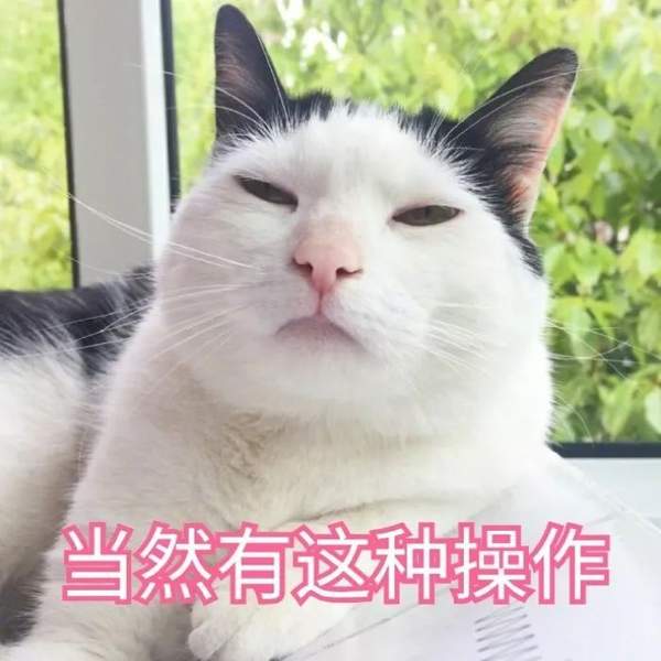 比百度网盘好用的不限速的软件