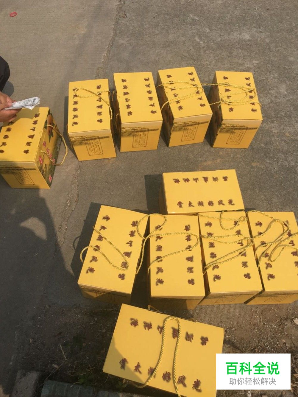 边吃枇杷边听《找工作注意事项讲座》