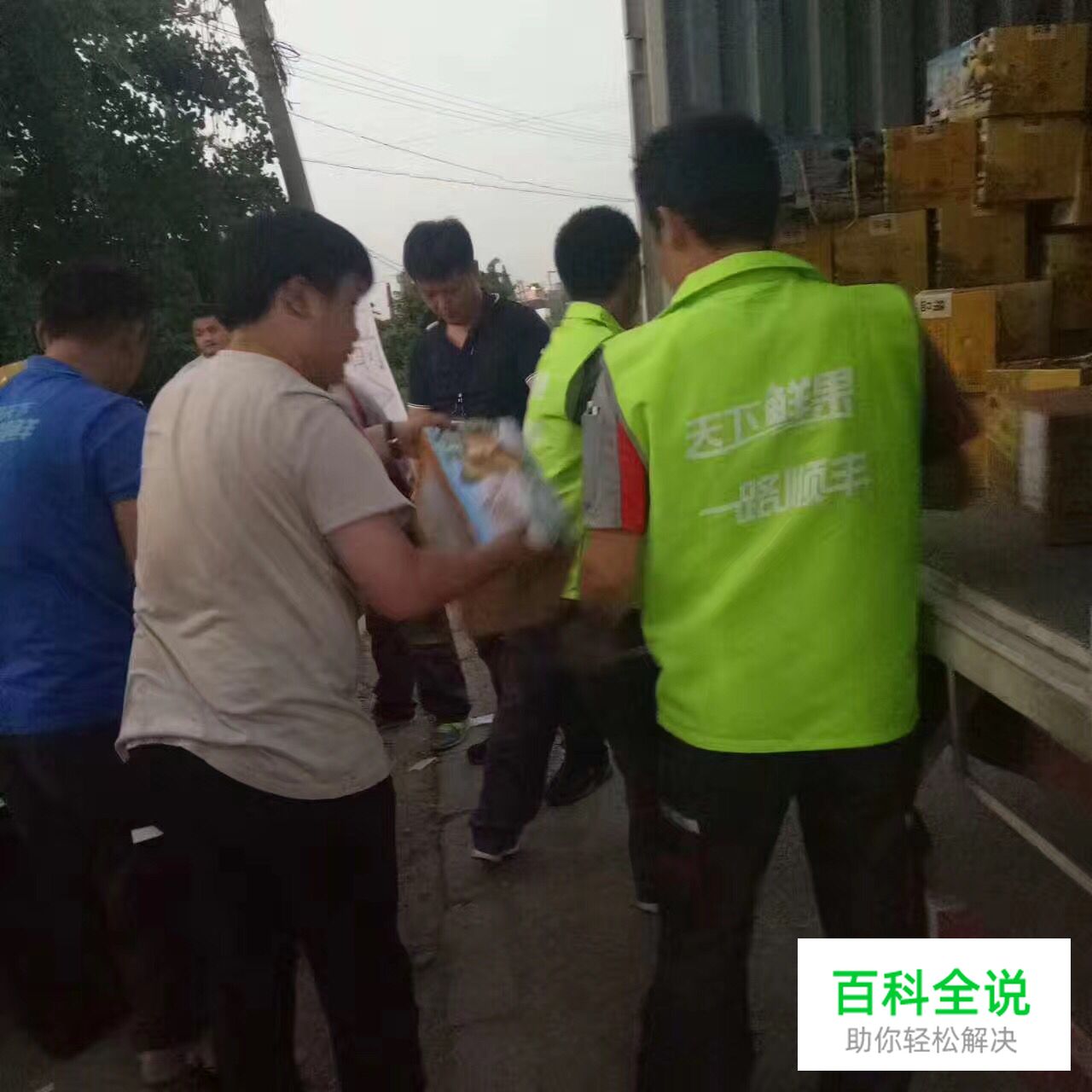 边吃枇杷边听《找工作注意事项讲座》