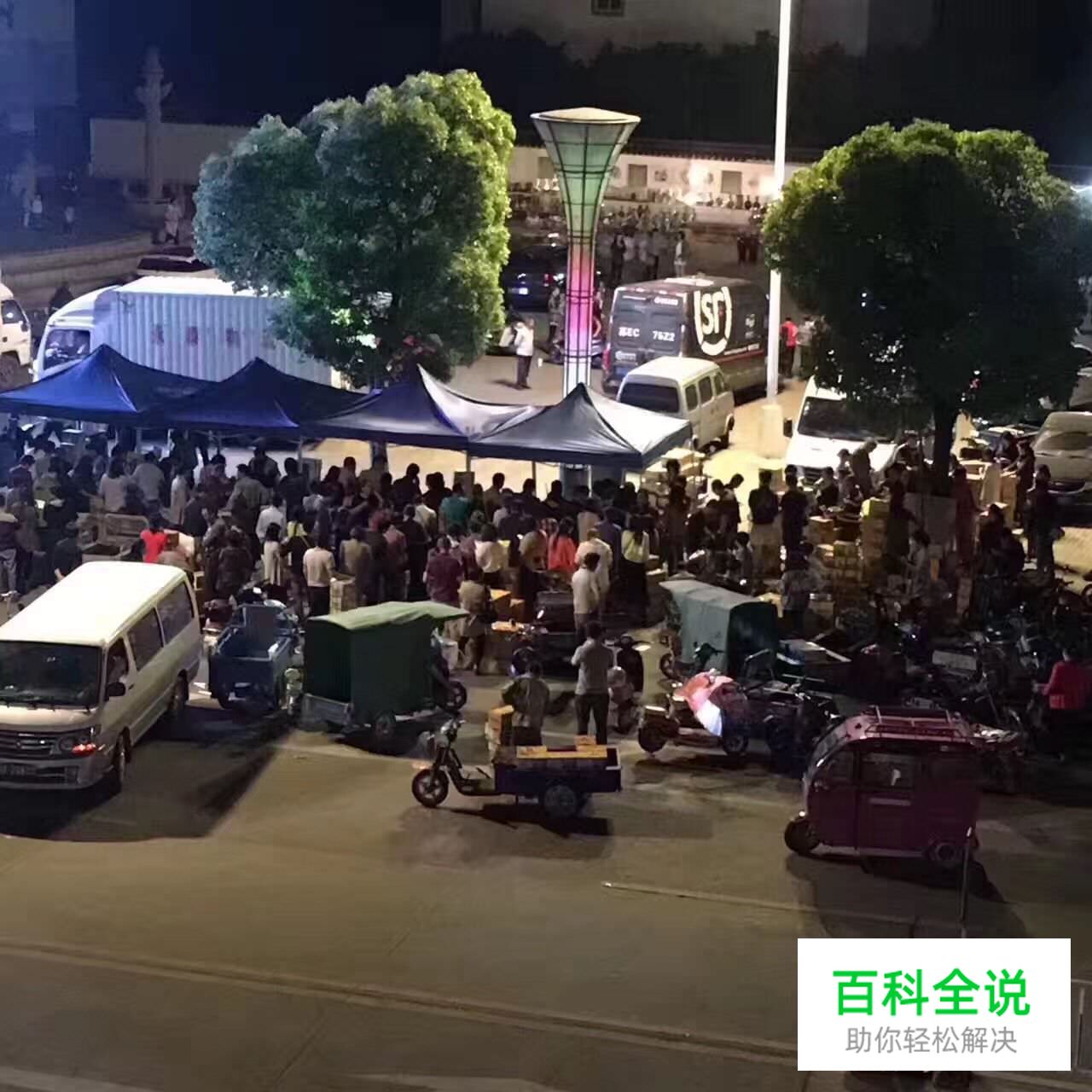 边吃枇杷边听《找工作注意事项讲座》