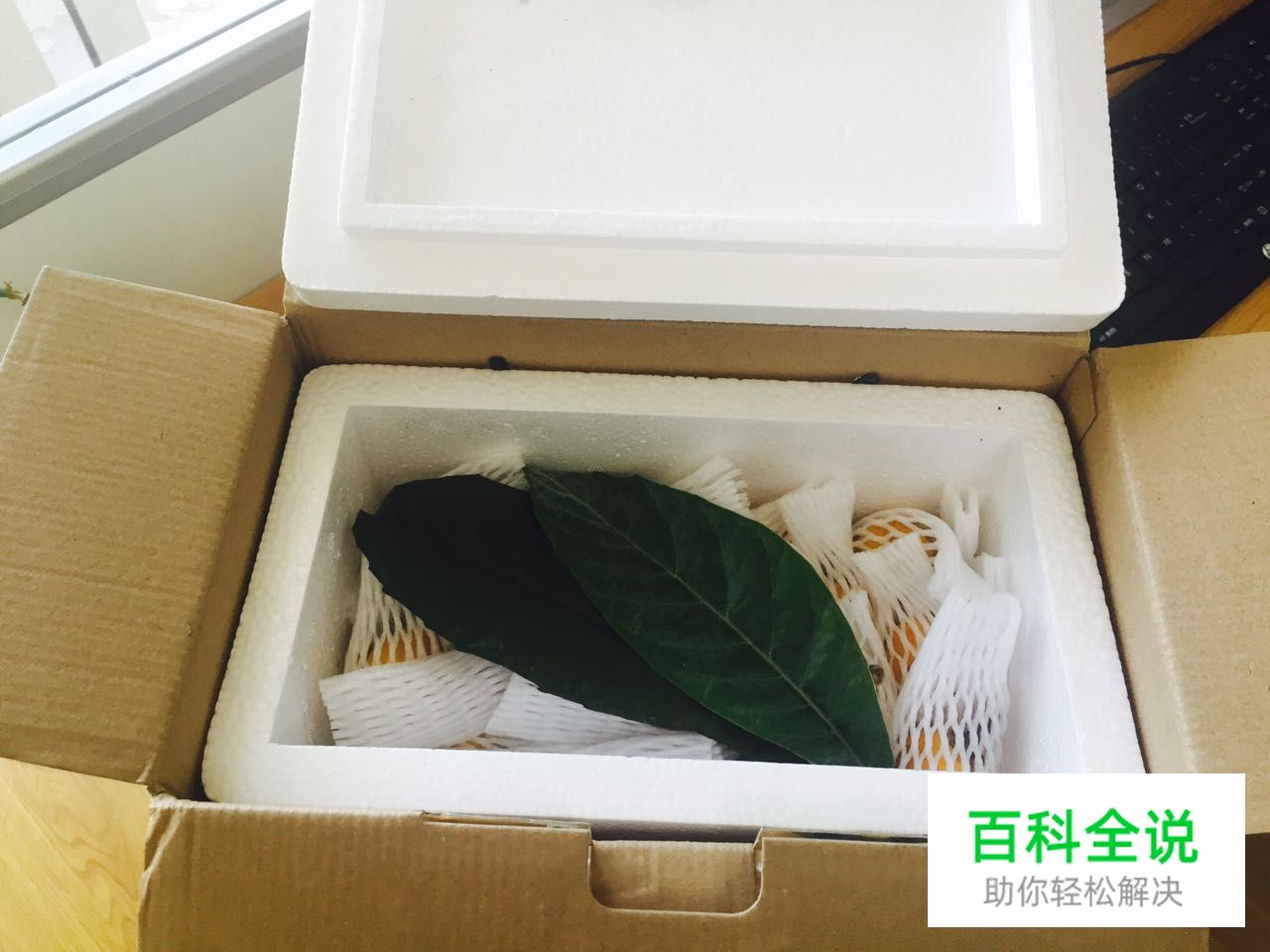 边吃枇杷边听《找工作注意事项讲座》