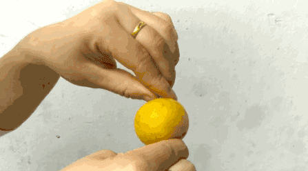 边吃枇杷边听《找工作注意事项讲座》