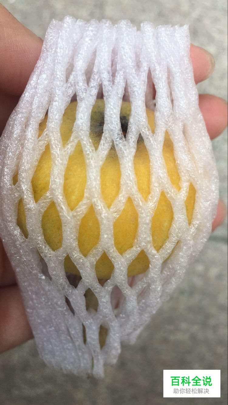 边吃枇杷边听《找工作注意事项讲座》