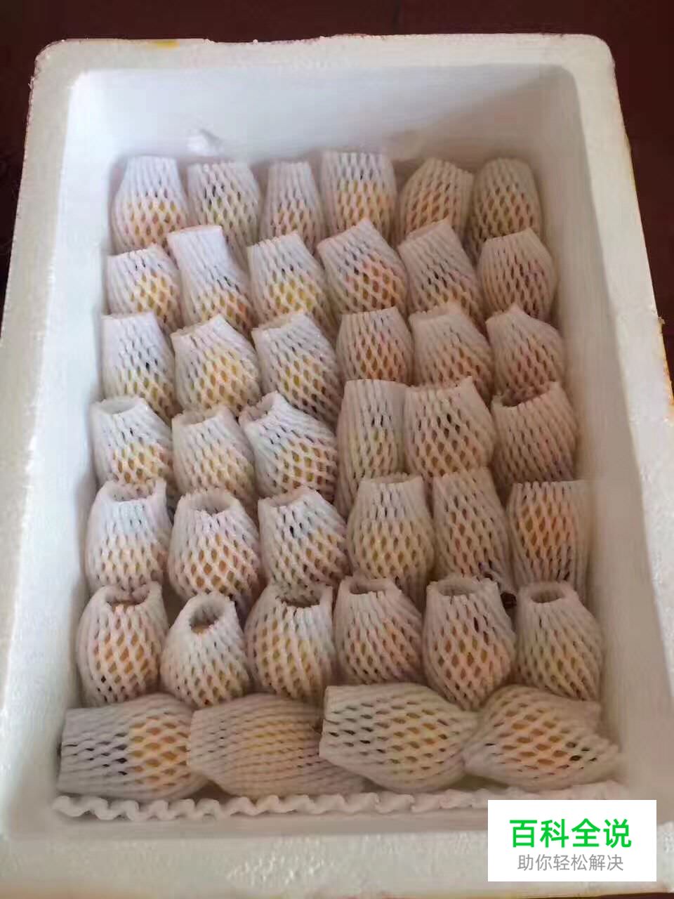 边吃枇杷边听《找工作注意事项讲座》