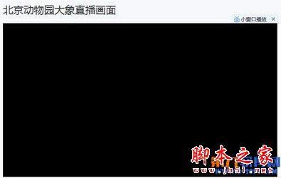 百度动物园看不了.黑屏怎么办?