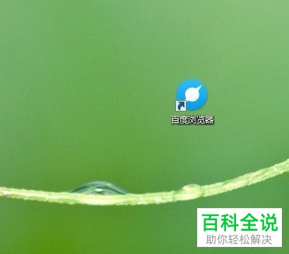 百度浏览器中如何查看相应的版本号