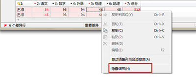 Beyond Compare隐藏和显示文本细节方法