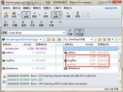 Beyond Compare更改过滤文件夹颜色方法