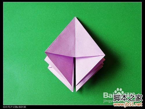百合花的折法,百合花的折法图解