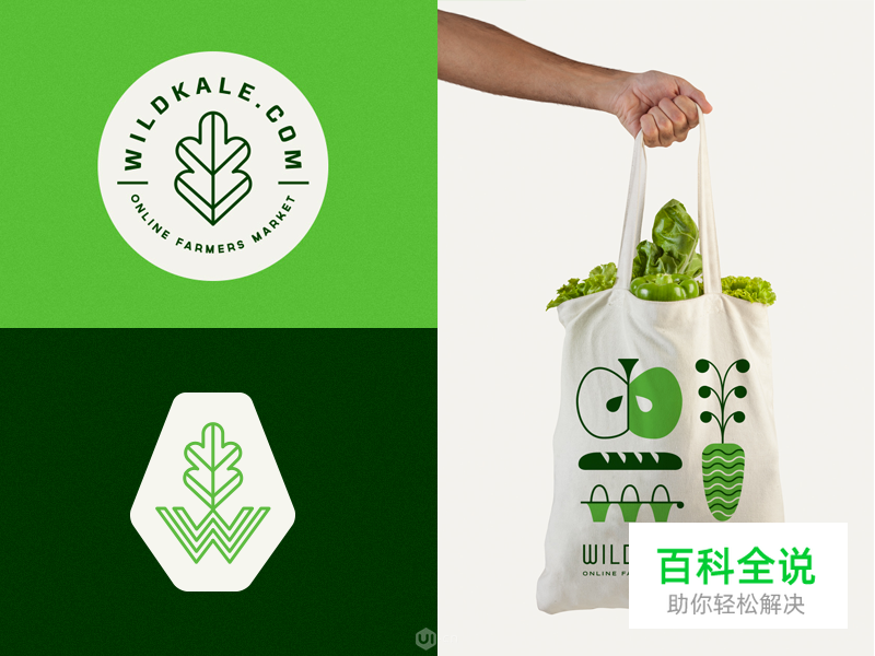 版面色彩、字体和空间是如何引起情感沟通?