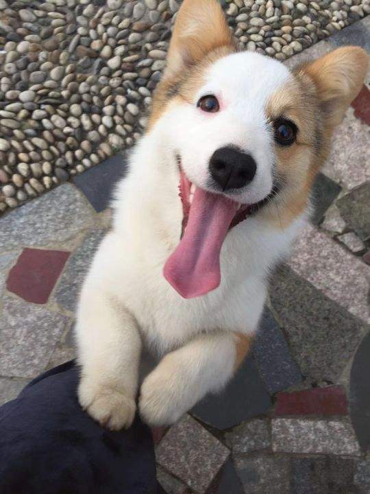 必须懂的社会常识（人生必备的社会常识）